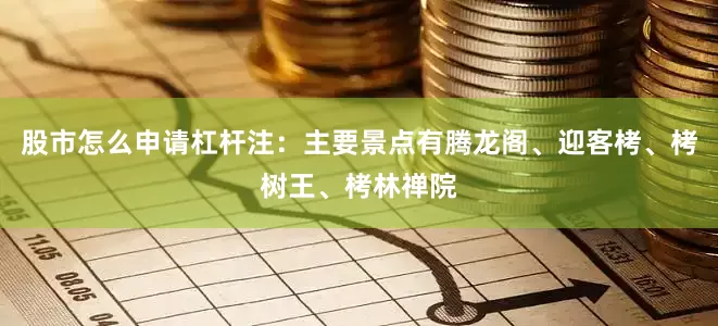 股市怎么申请杠杆注：主要景点有腾龙阁、迎客栲、栲树王、栲林禅院