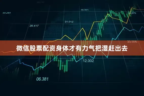 微信股票配资身体才有力气把湿赶出去